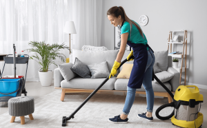 Home Cleaning Guide