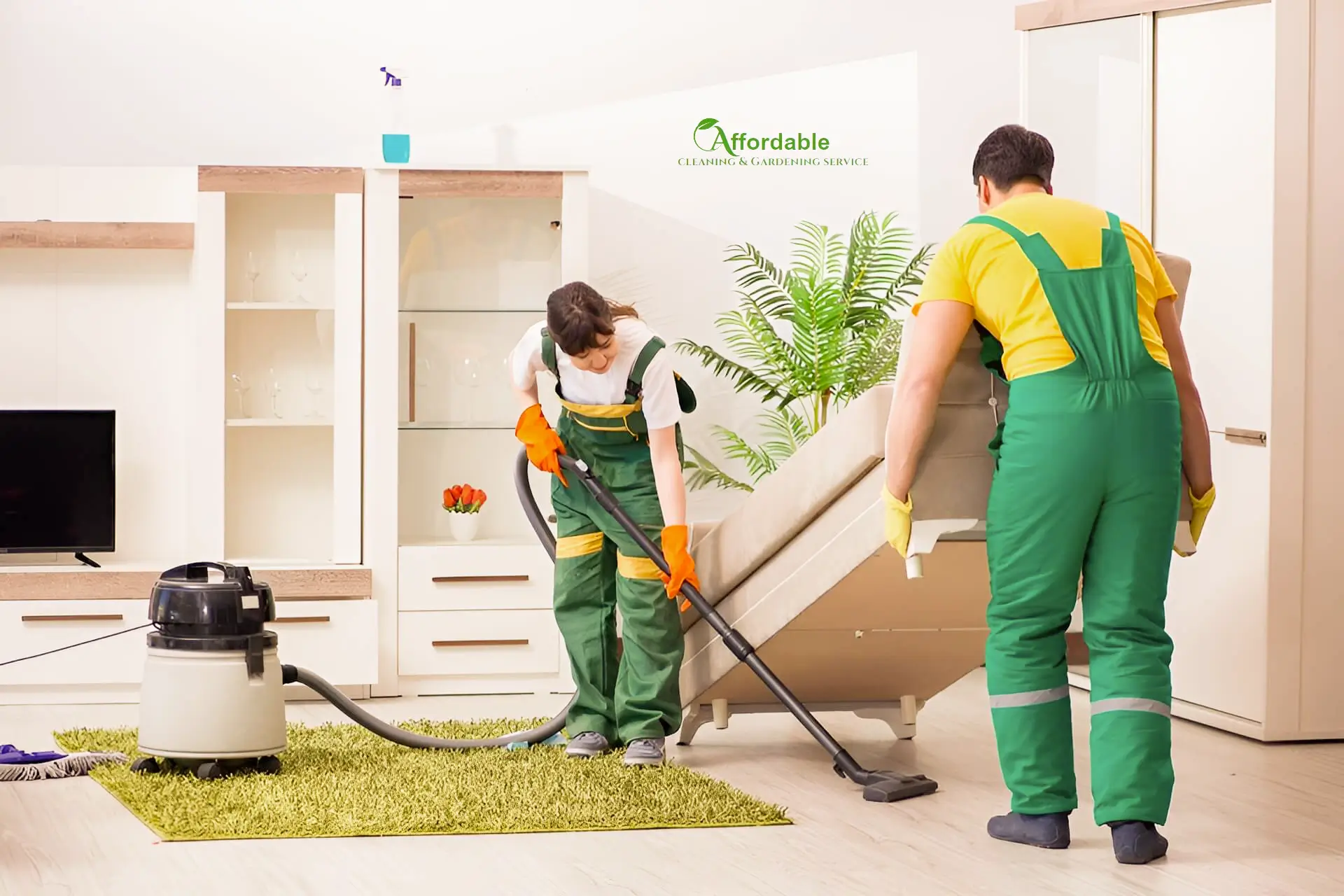 deep cleaning service in Joliet