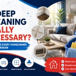 Is Deep Cleaning Necessary?